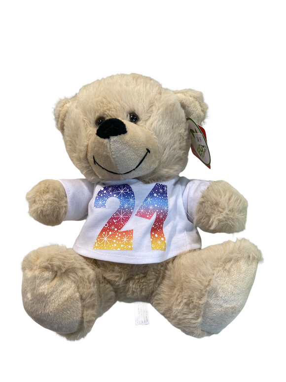 21st top birthday teddy