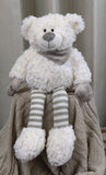 White Teddy with Striped Legs